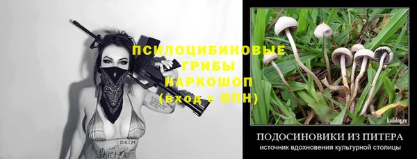 прущая мука Вязьма
