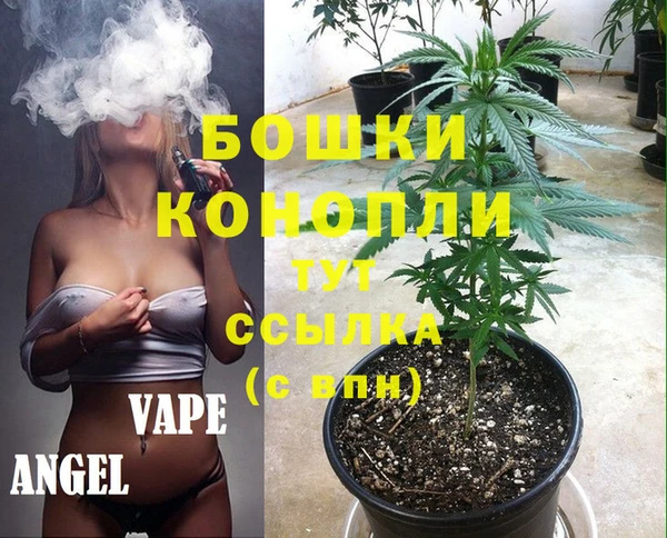 амф Вяземский