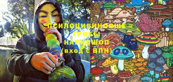 амф Вяземский
