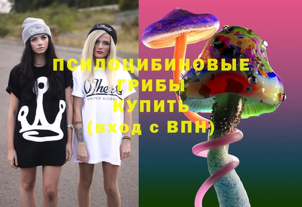 амф Вяземский
