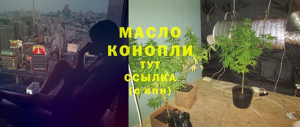 амф Вяземский